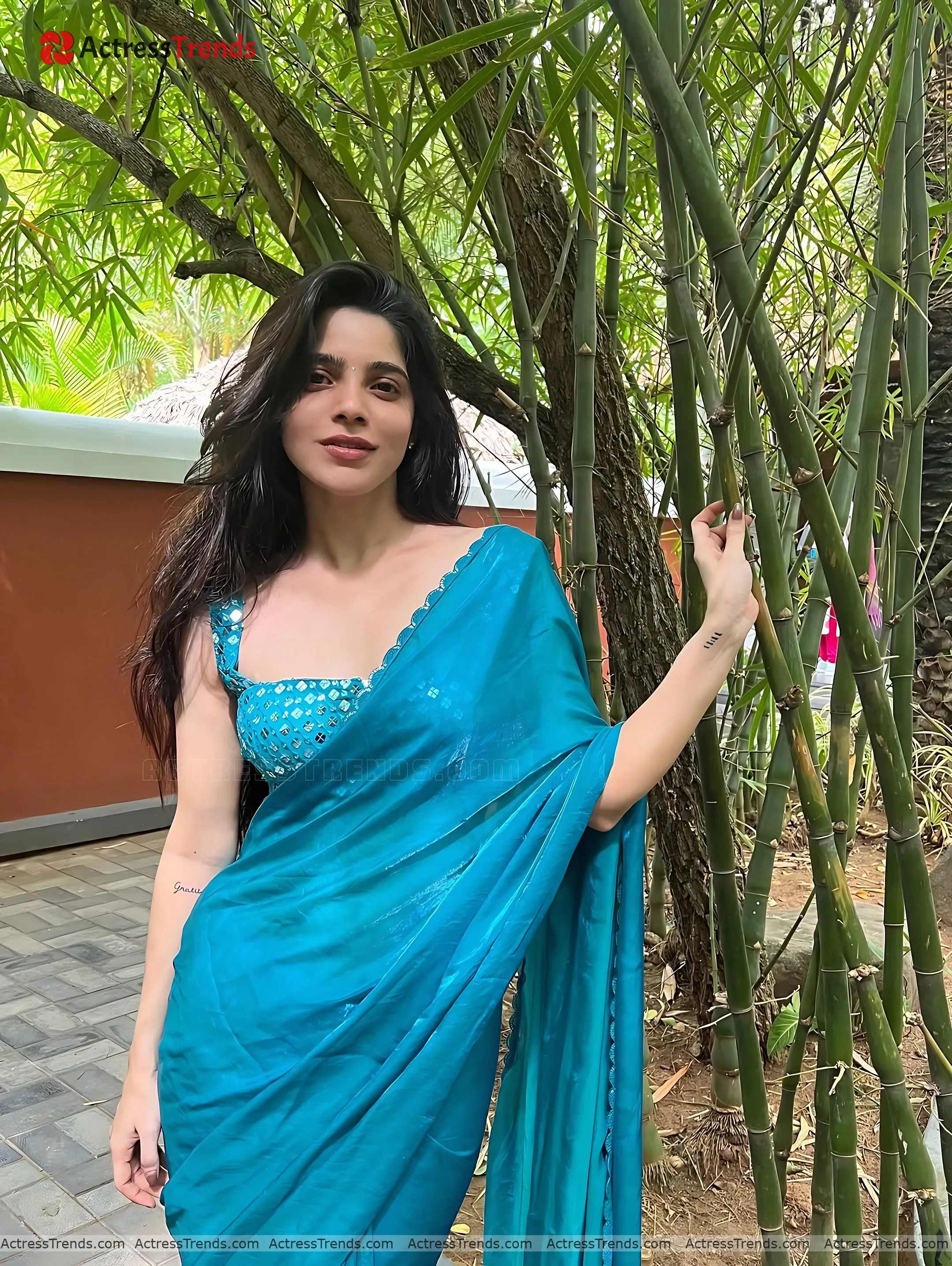 Divya Bharathi Blue Saree Beautiful Face Glamorous Actress